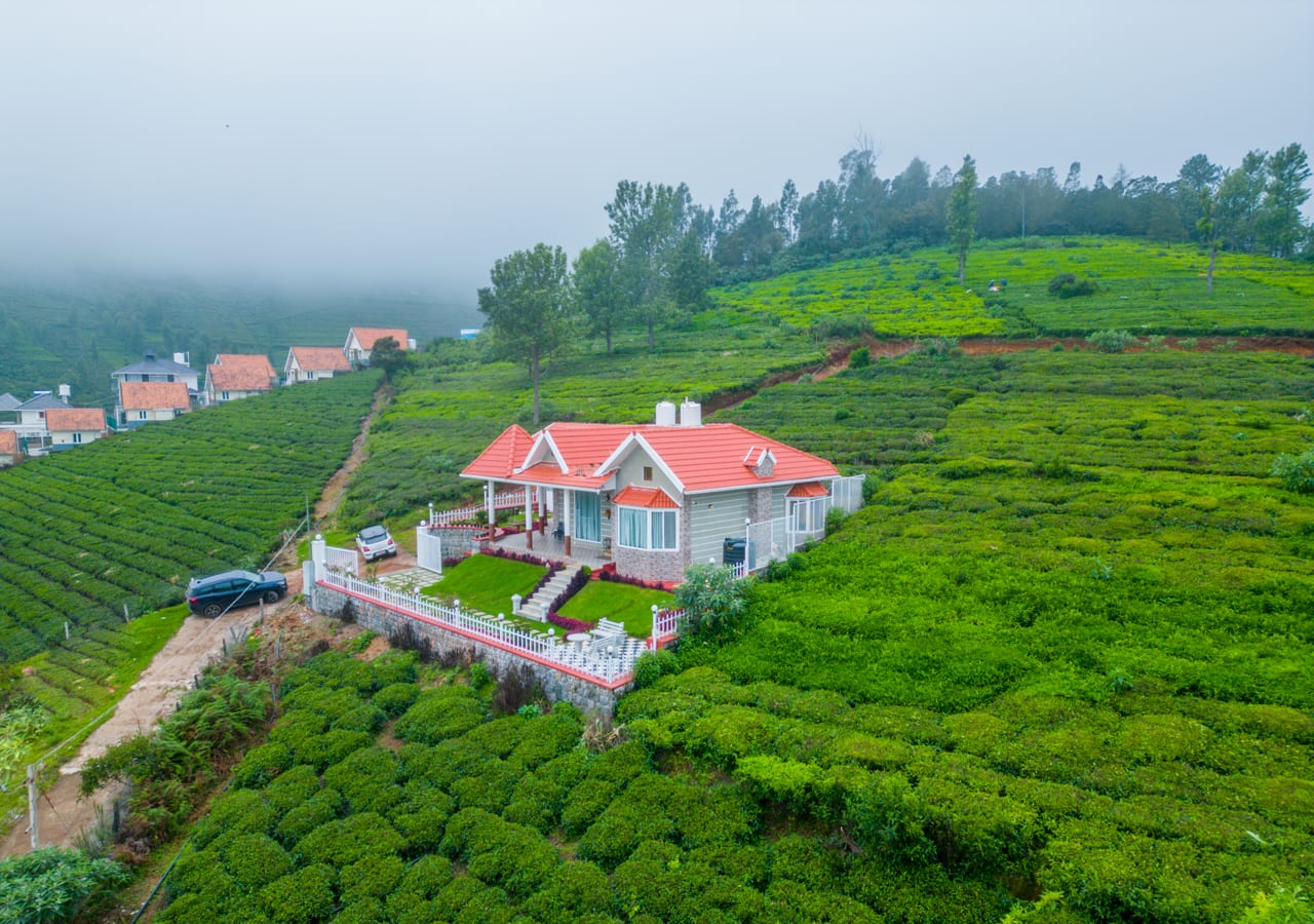 plantation stay in ooty
