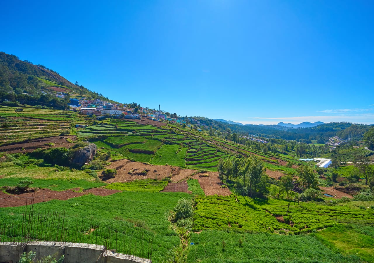 ooty hill view