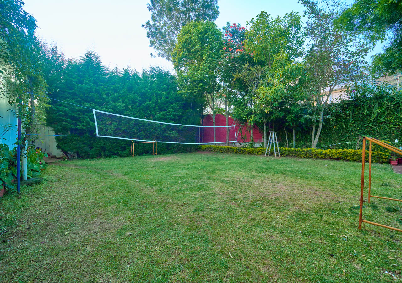 playing area