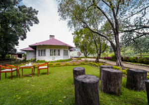 Arivikad Tea  Bungalow Munnar by VOYE HOMES