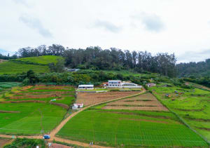 Lavender Wooden Premium Villa Ooty by VOYE HOMES