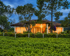 Viriparai Tea Bungalow Munnar by VOYE HOMES