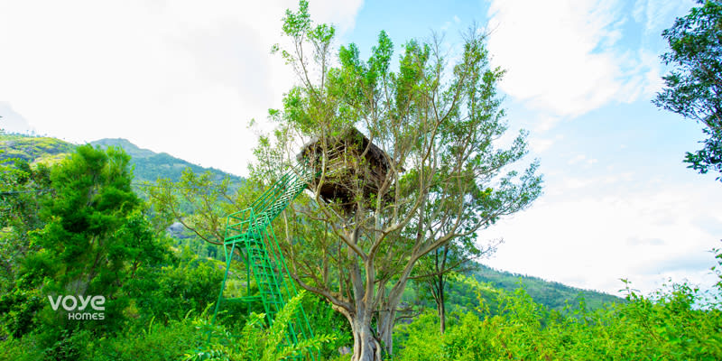 Tree House In Munnar Kanthalloor