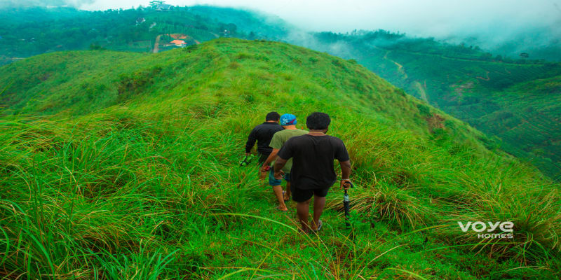 Trekking In Novella Vagamon