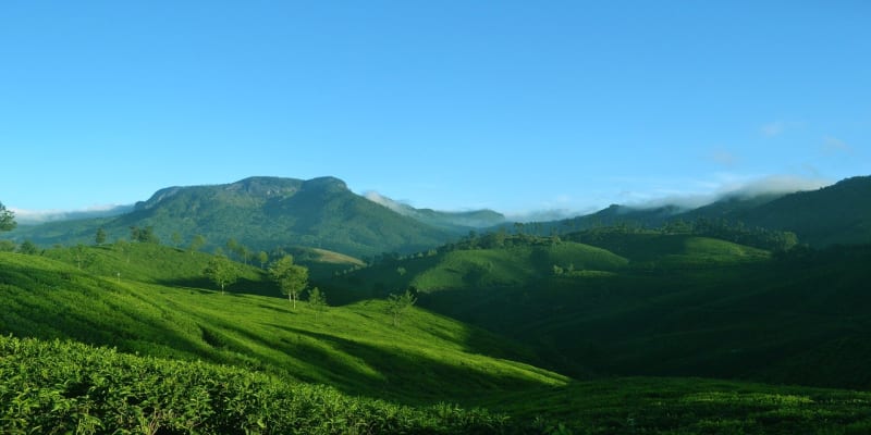 vagamon tourist season