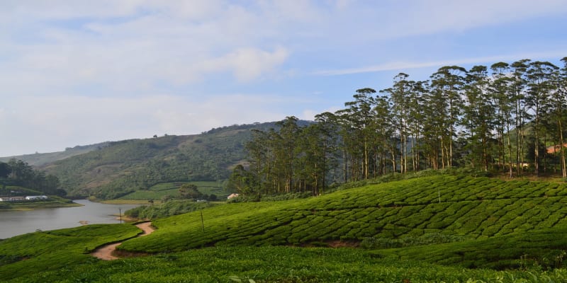 vagamon tourist list