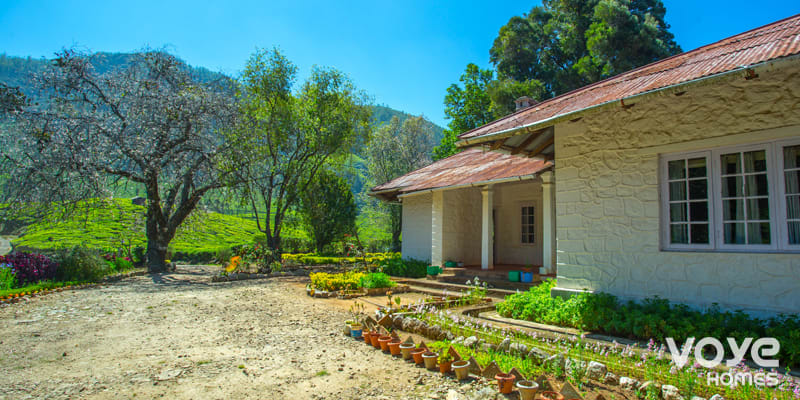 Bungalow in Munnar