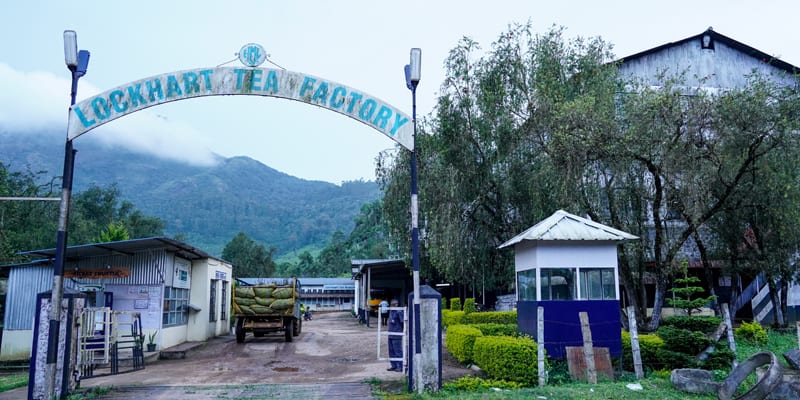 Munnar tea factory