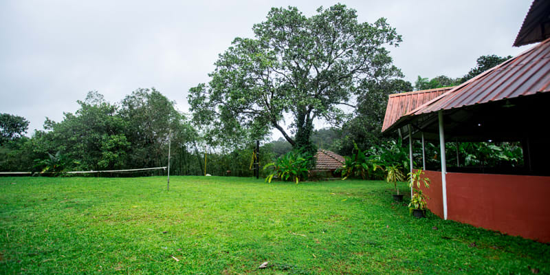 Couple friendly resorts in Wayanad