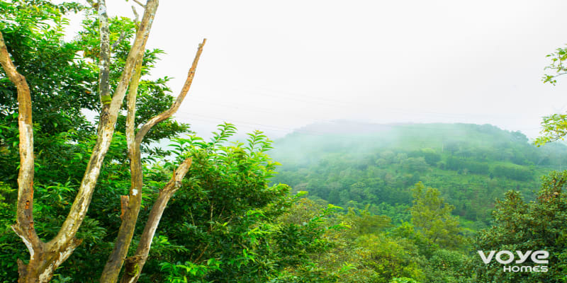 Wayanad viewpoint