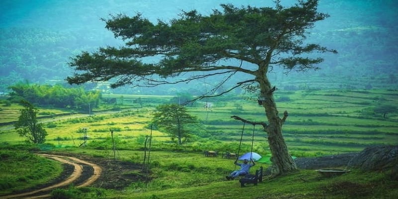 Camping in attappadi