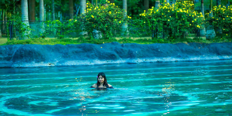 wayanad resort with pool