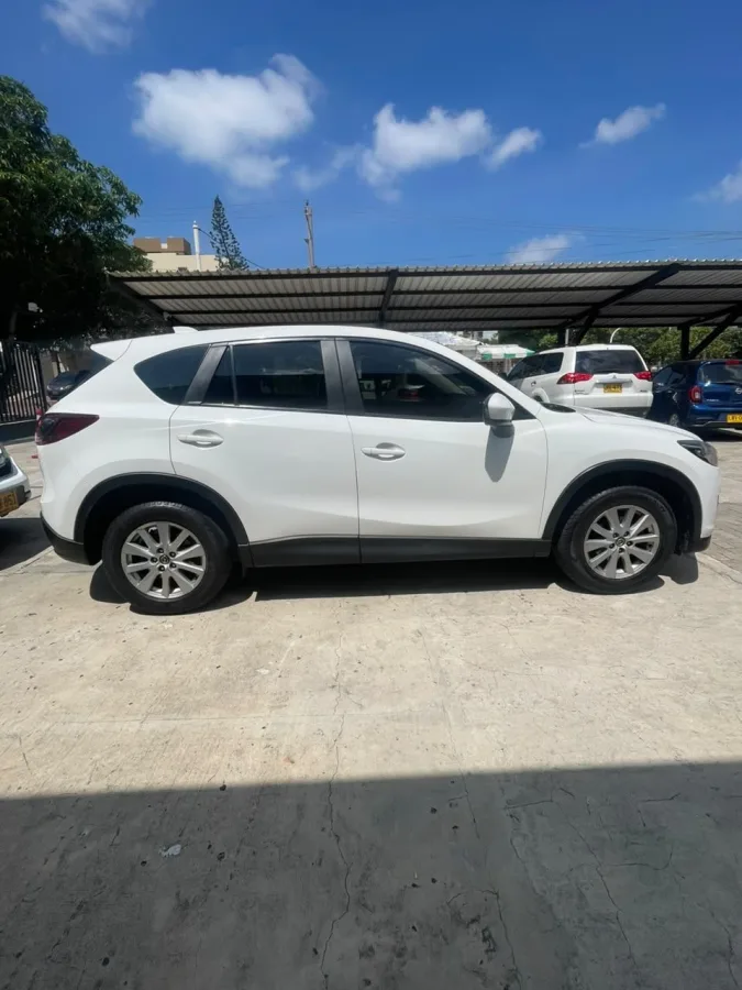 Foto 4