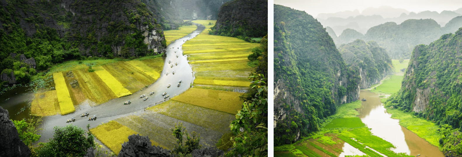 Tam coc - Ninh Binh's rice fields - best spots for nature lovers