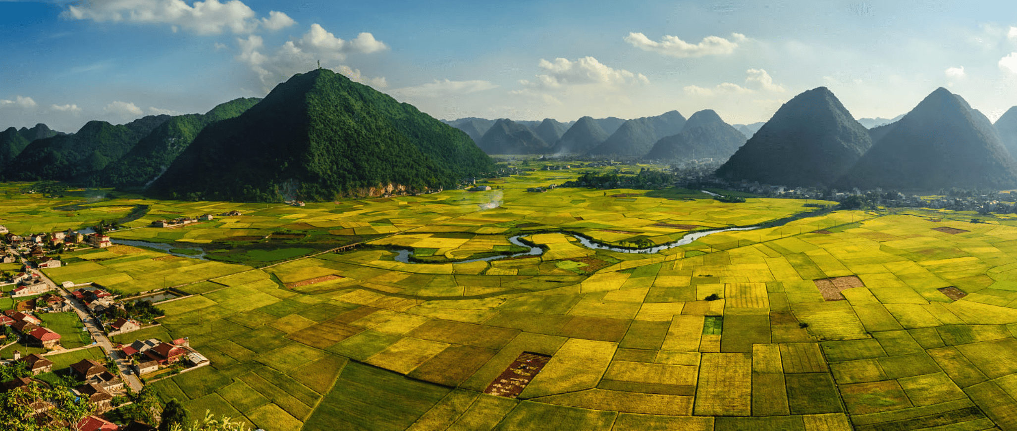 Rice Fields in Bac Son Valley, Northern Vietnam