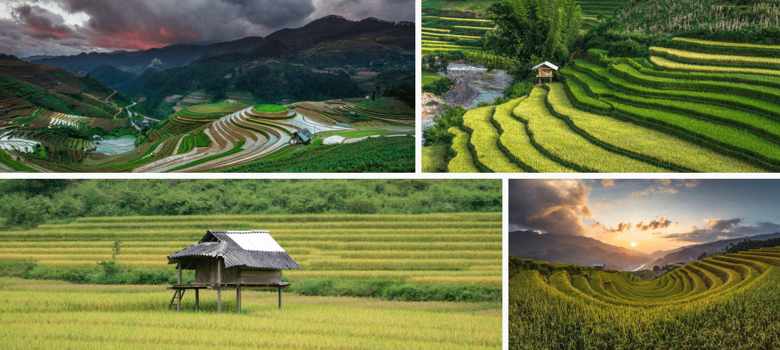 mu cang chai