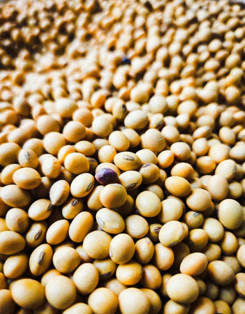 Feed Components – Soya Bean Meal (50 kg)
