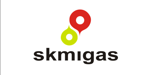 Logo Partner
