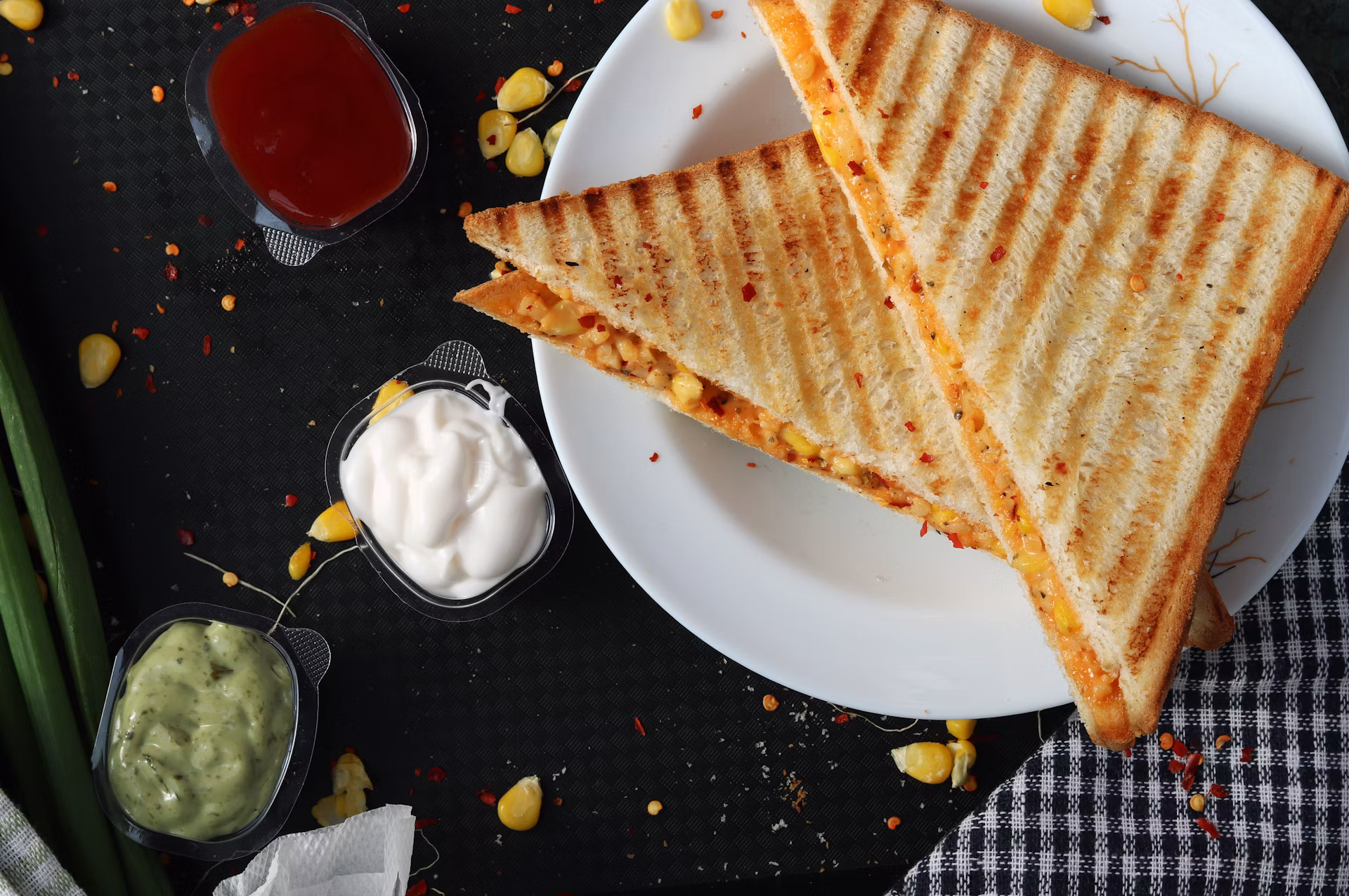 Gourmet Spicy Panino Sandwich
