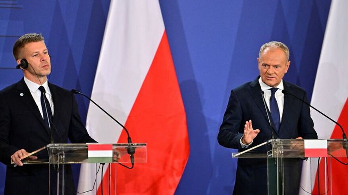 Worker limits strain Polish and Hungarian firms - foreign worker limits