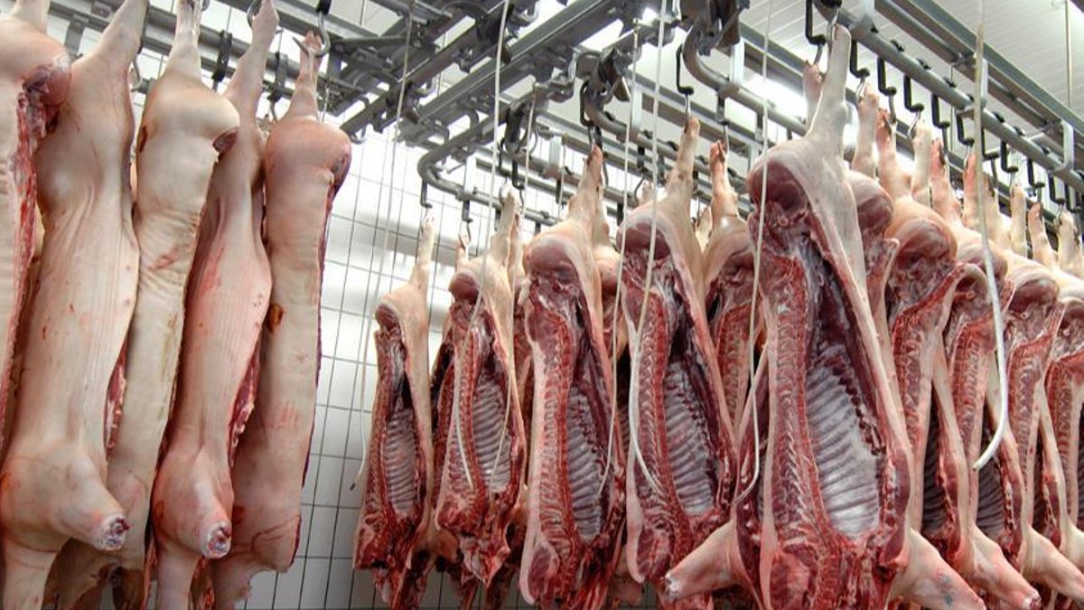 Meat producers urge government to protect water supply Meat producers urge government to protect water supply - water supply protection
