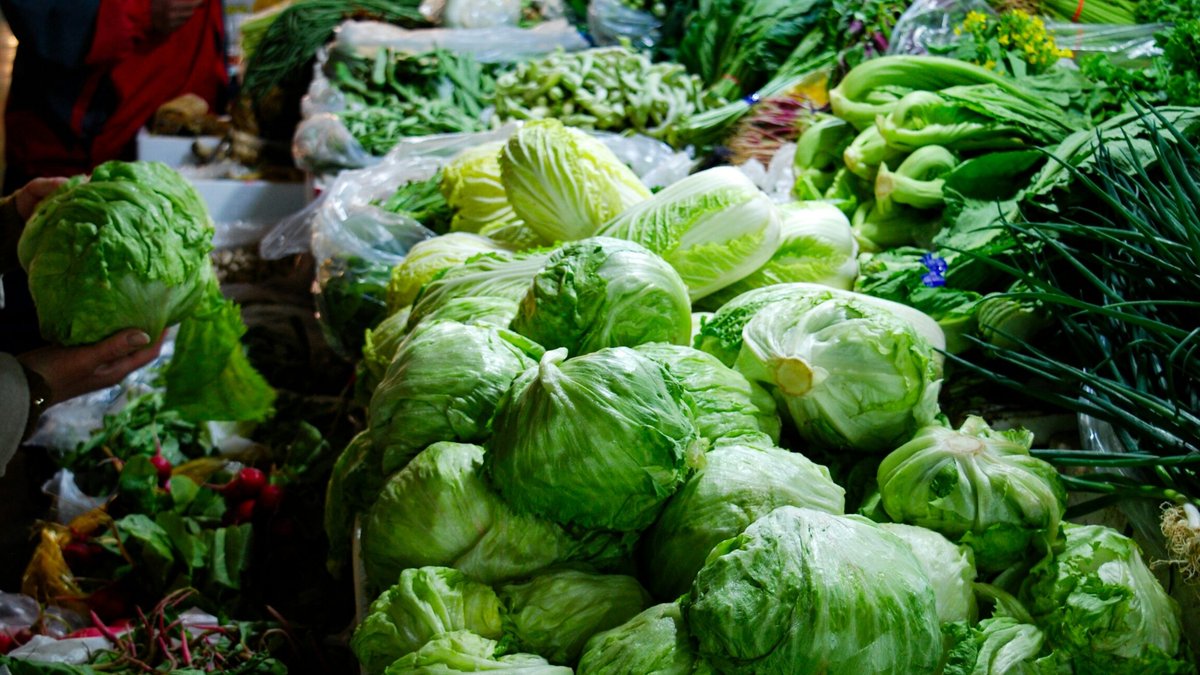 Lettuce recall exposes food traceability flaws Lettuce recall exposes food traceability flaws - food traceability