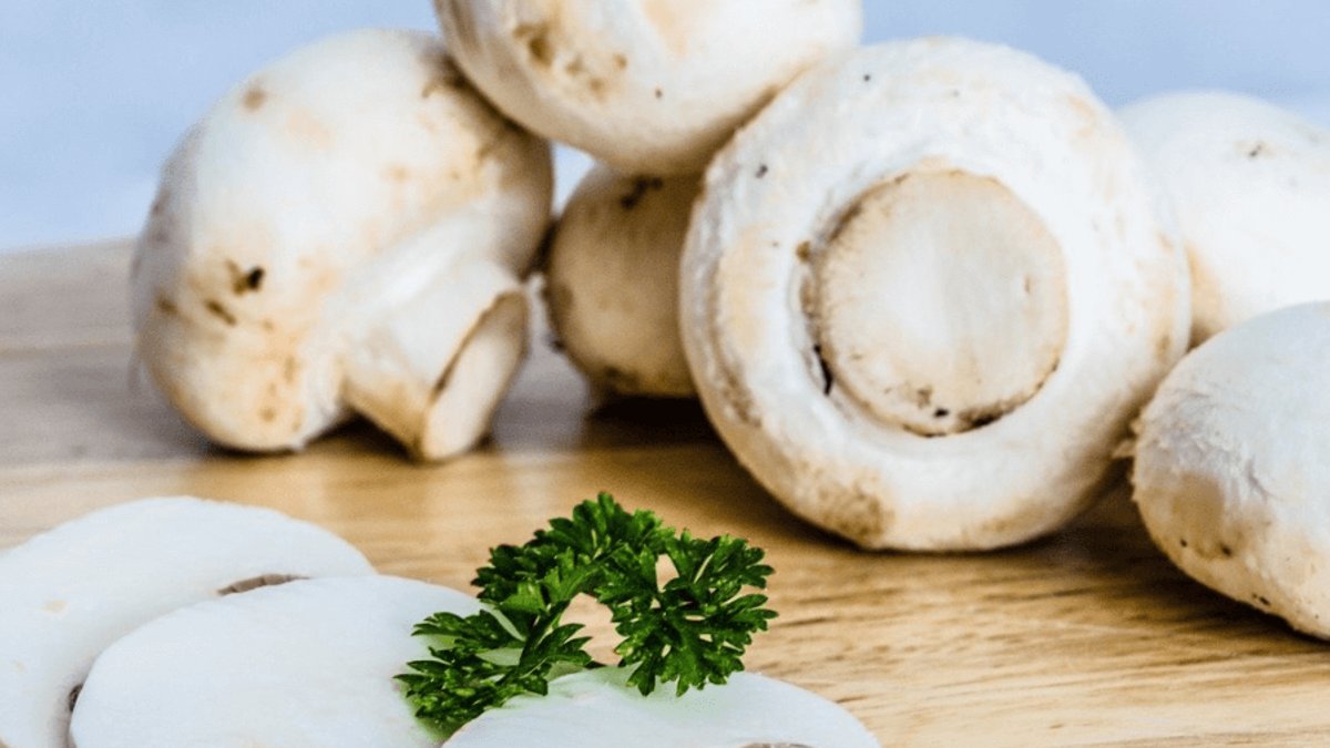 Mushrooms Boost Immune System with Beta Glucans Mushrooms Boost Immune System with Beta Glucans - immune system