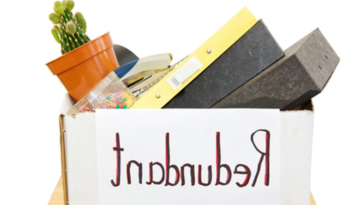 Redundancy sparks fresh business ideas - business opportunities