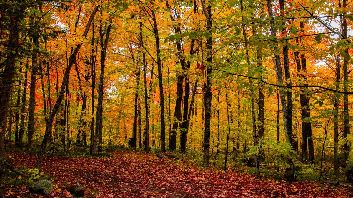 Canada's Autumn Pre-Winter Show Spectacular - canada autumn travel