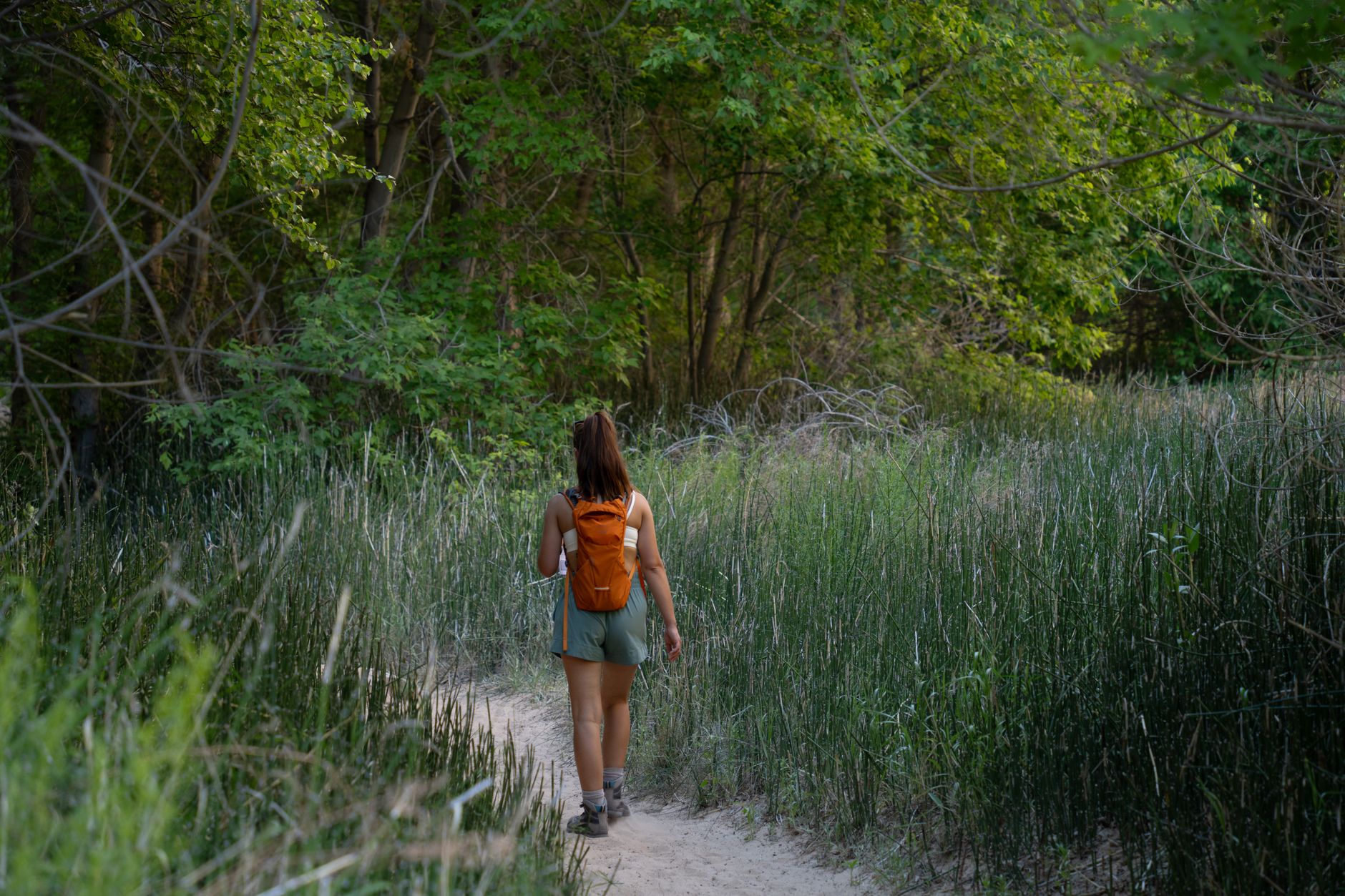 What is a clear backpack?