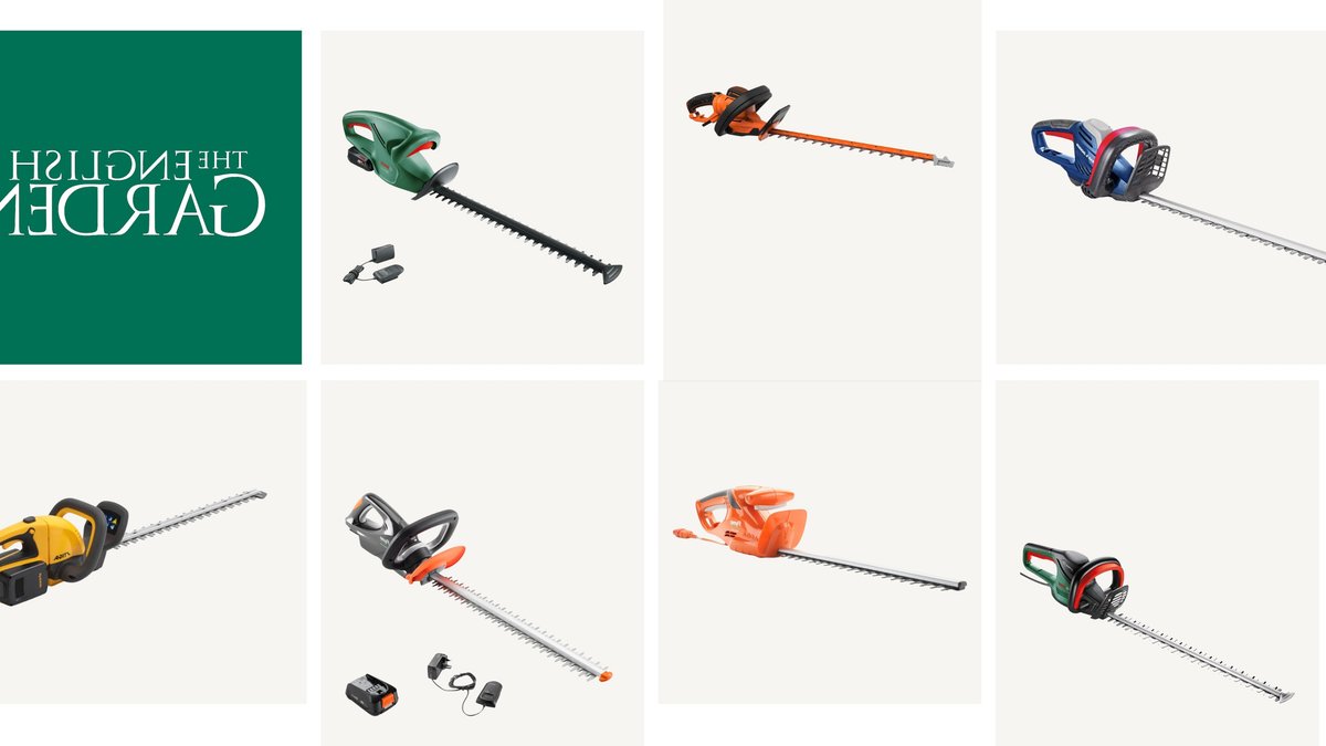 Best hedge trimmers rated by experts