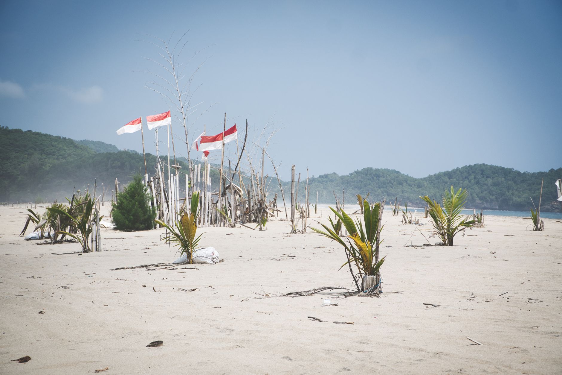 Prabowo Sentil Pantai Bali yang Kotor, Pemda Langsung Bersihkan