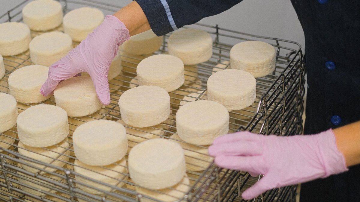 Cheese Plant Shuts Down Over Listeria Fears Cheese Plant Shuts Down Over Listeria Fears - cheese listeria