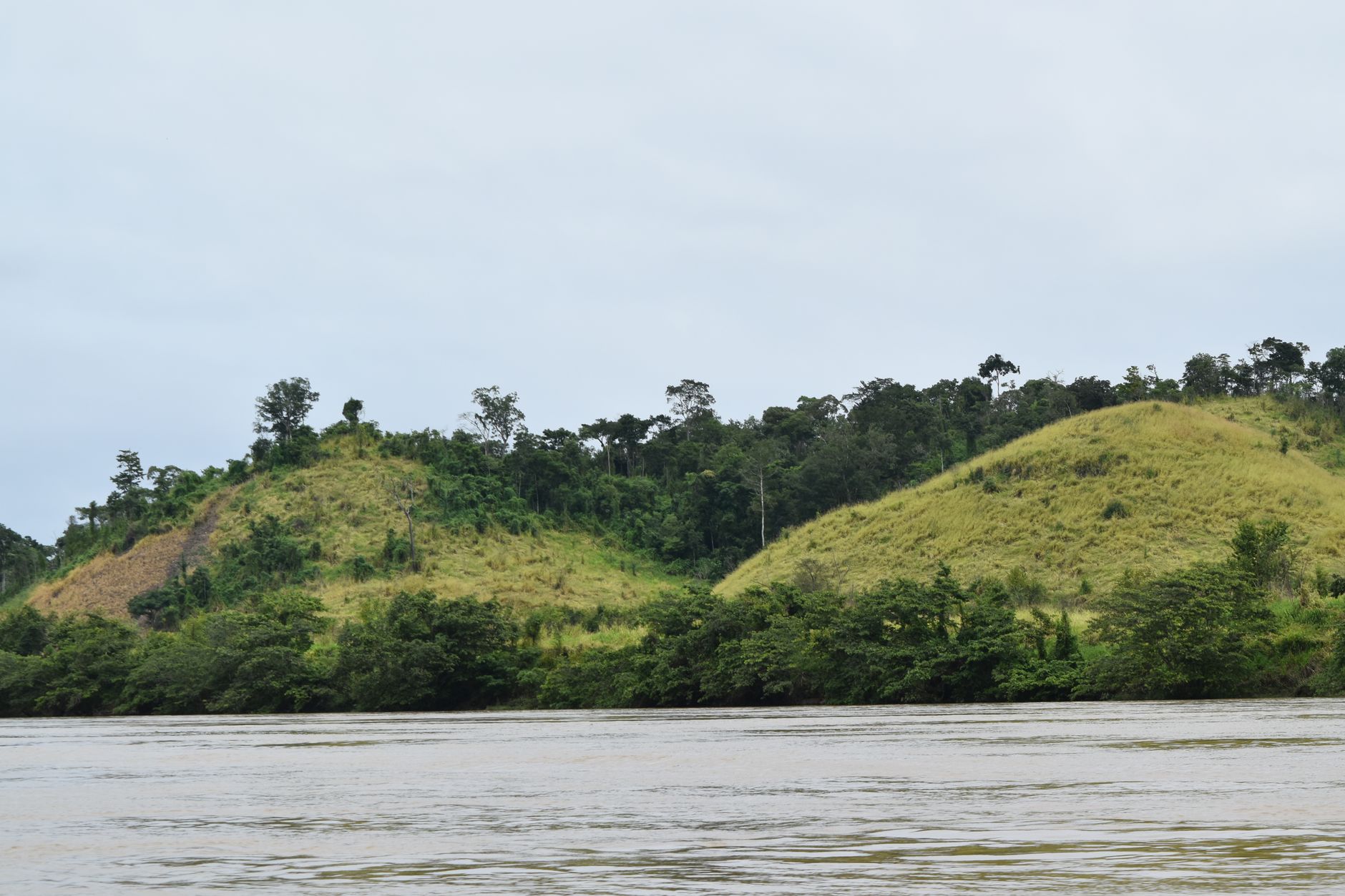 Gapura Taman Nasional Tesso Nilo Dirusak