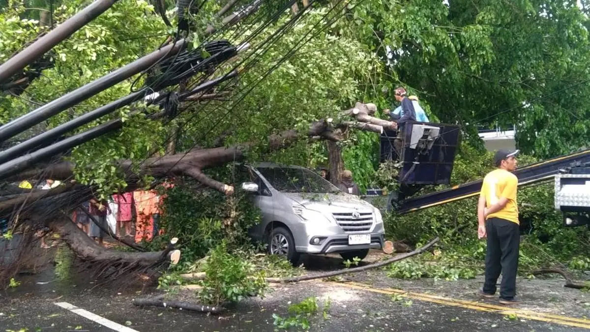 Hujan Deras Disertai Angin Kencang Bikin Kota Malang Porak-Poranda! Belasan Pohon Tumbang, Kendaraan Rusak, Warga Luka 1 Hujan Deras Disertai Angin Kencang Bikin Kota Malang Porak-Poranda! Belasan Pohon Tumbang, Kendaraan Rusak, Warga Luka