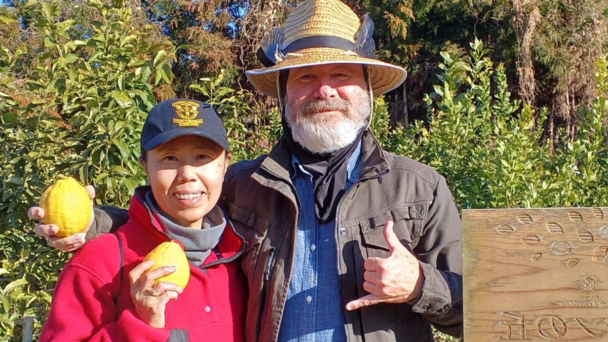 Americans trade Hawaii for cheap homes in rural Japan
