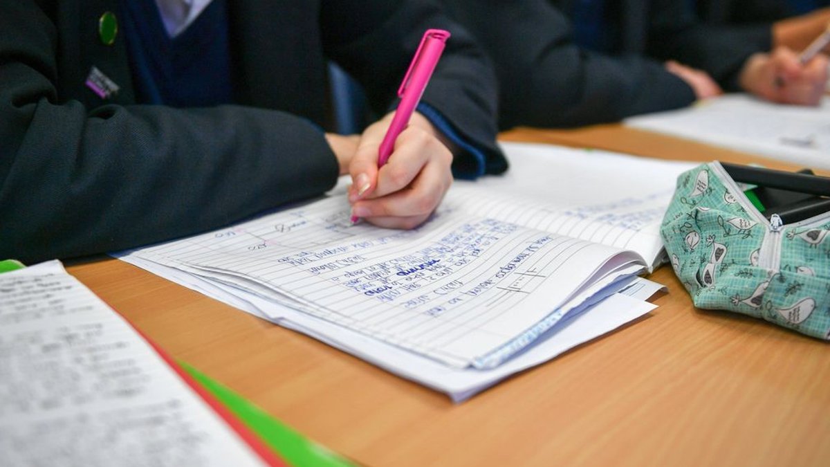 Tory leader says apprenticeship funds have vanished Tory leader says apprenticeship funds have vanished - apprenticeship funds