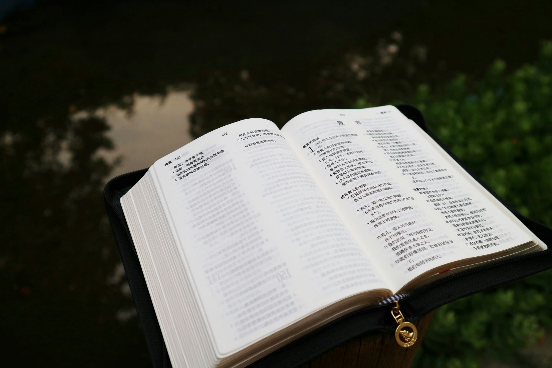 How Important Is A Translation Service?