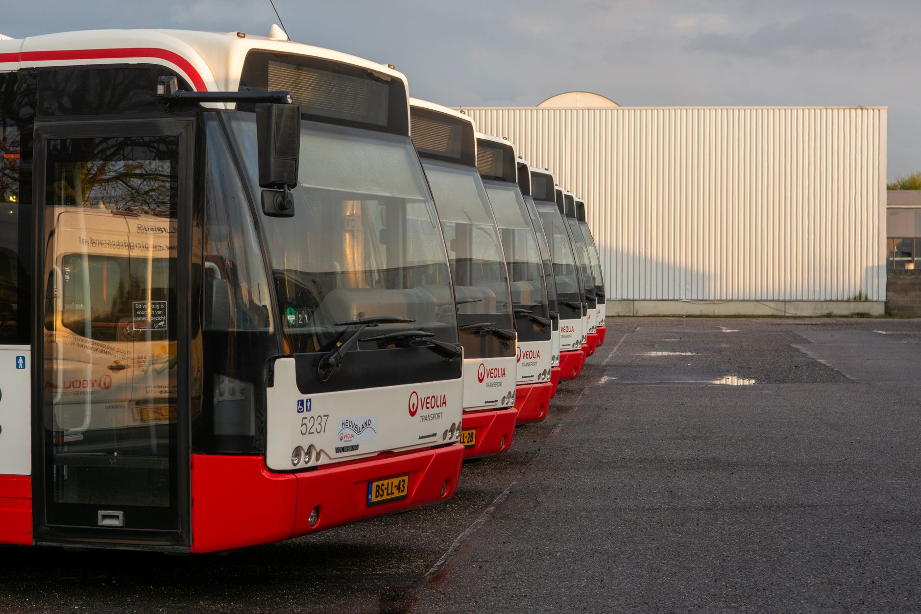 14 new electric buses begin service in Northumberland
