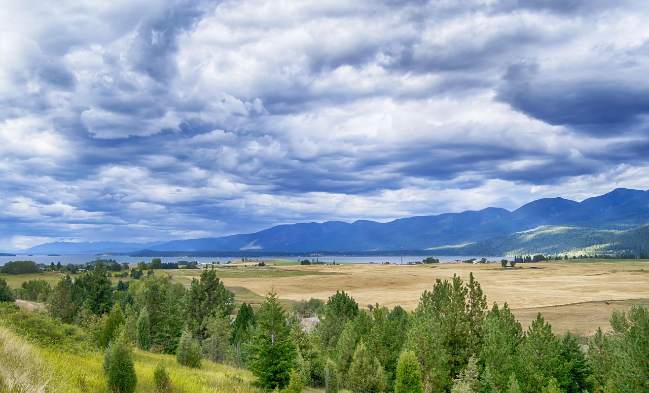 Montana Advances Doula Reimbursement, Yet Medicaid Cuts Loom: What You Need to Know
