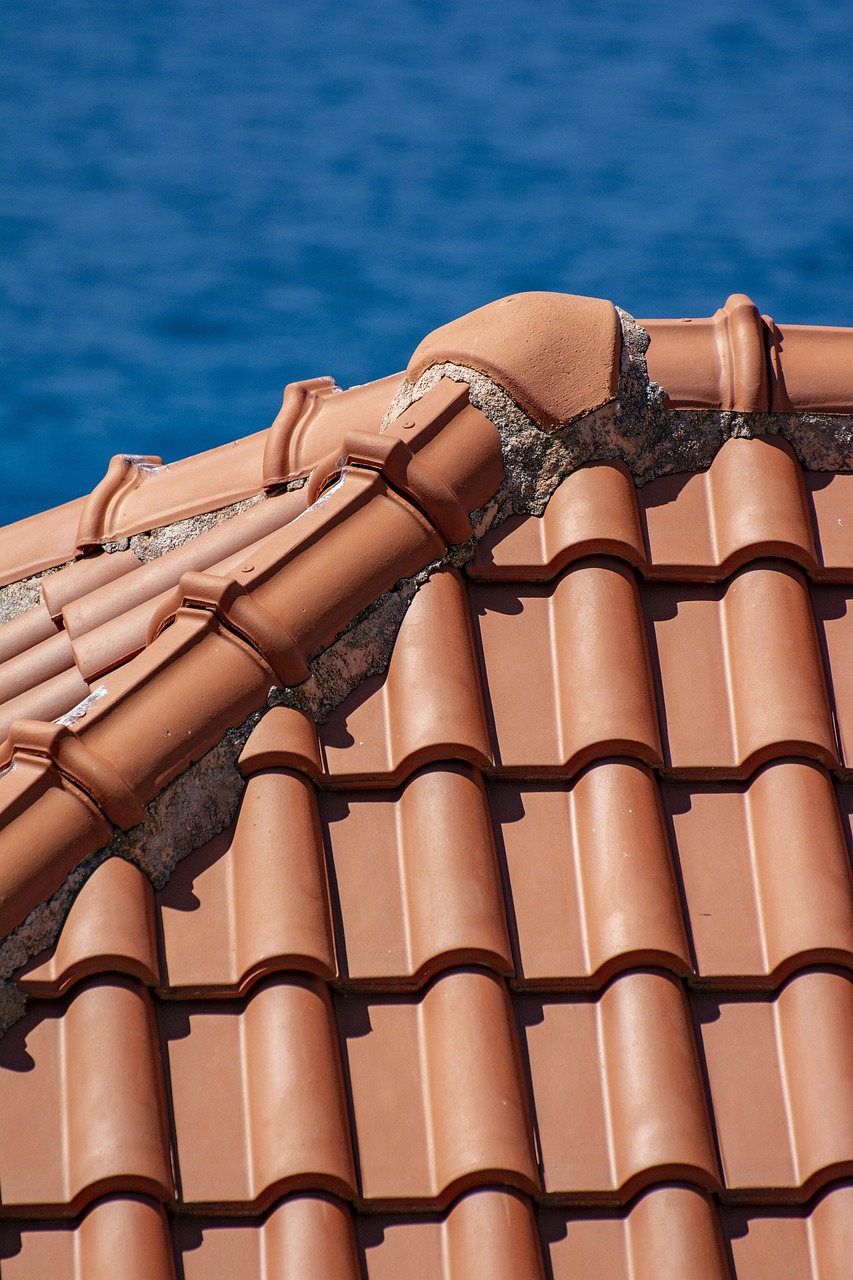Putting Your Roof Over Your Head: Expert Roofing Contractors at Your Service