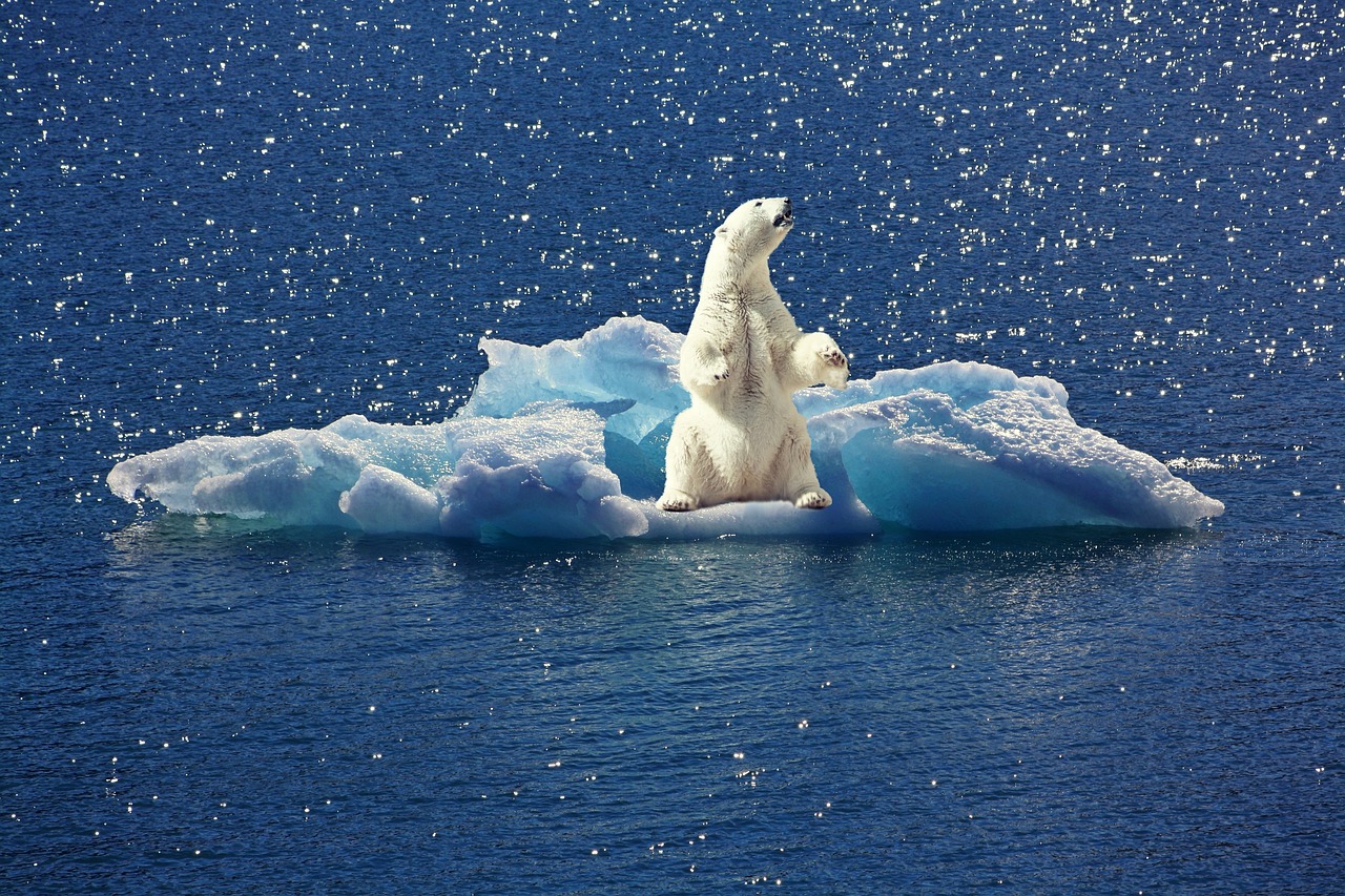 Climate change poses trillion-dollar health risks