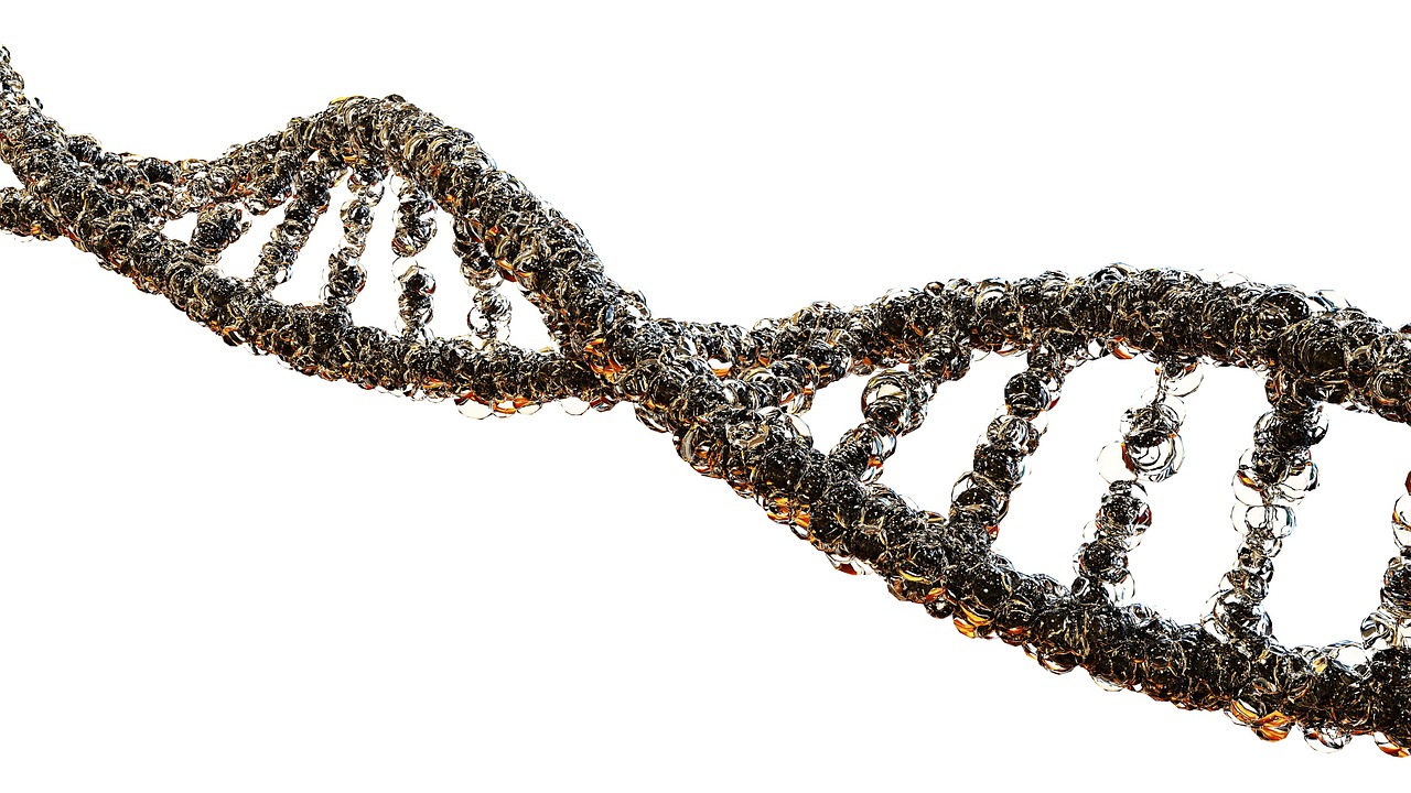 The science behind DNA paternity testing