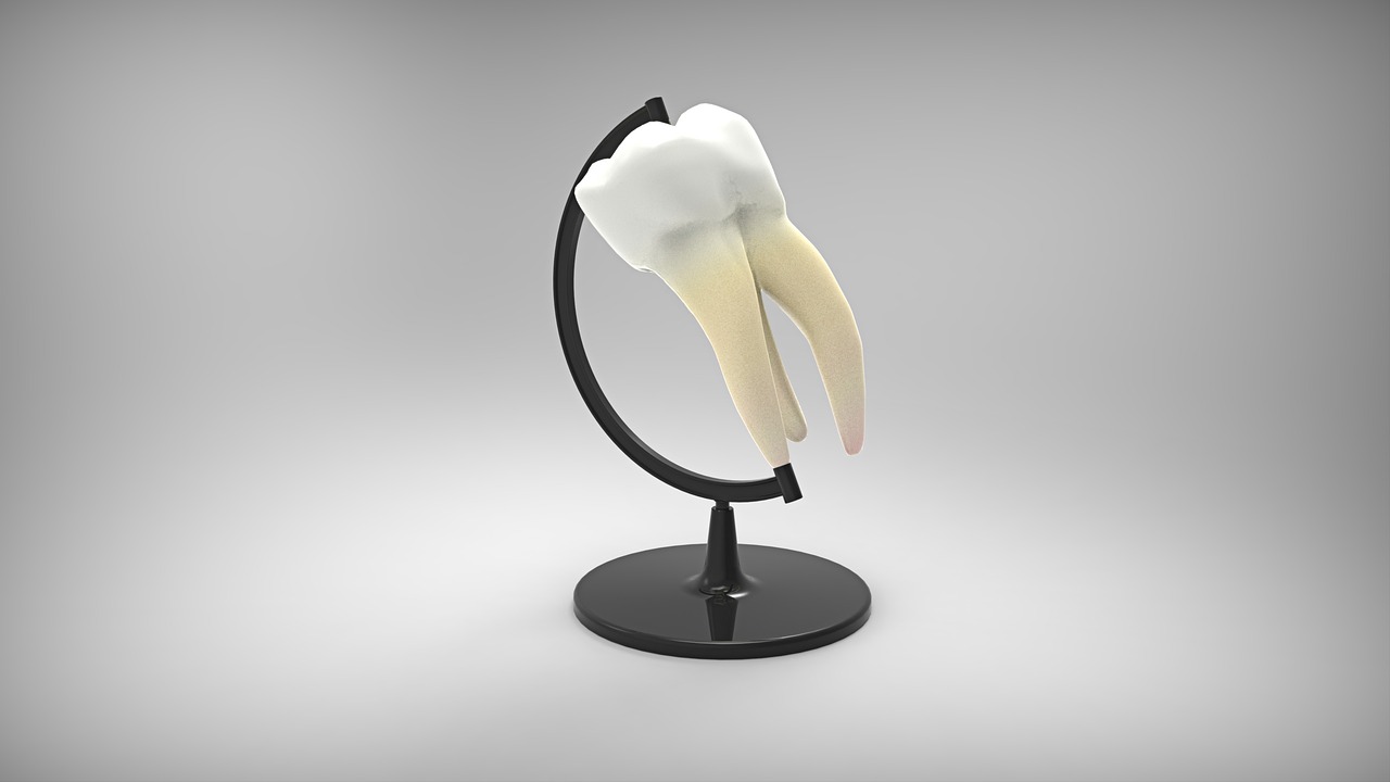 The Role of a Dentist in Preventing Tooth Decay and Gum Disease