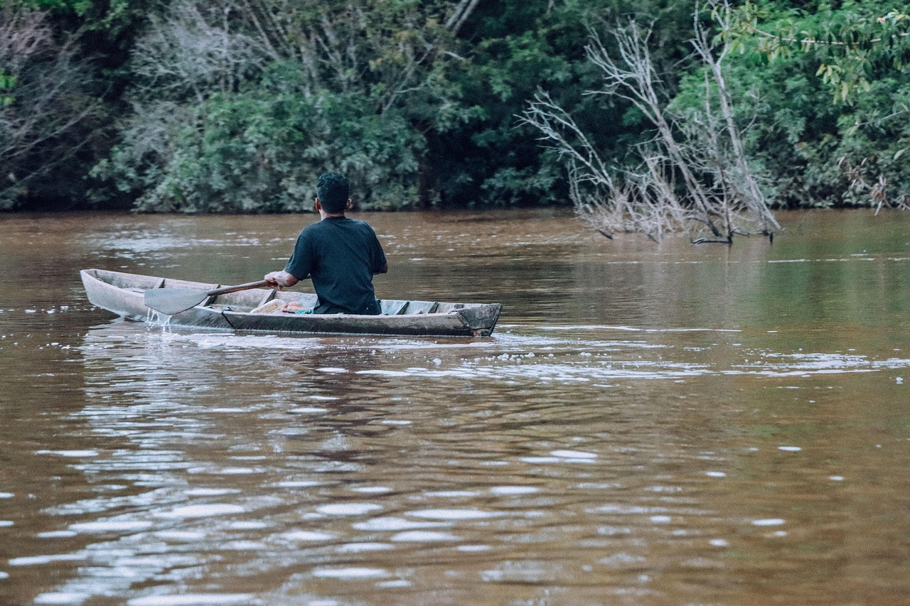 Exploring Borneo: A Guide to Jungle Trekking and Wildlife Safaris