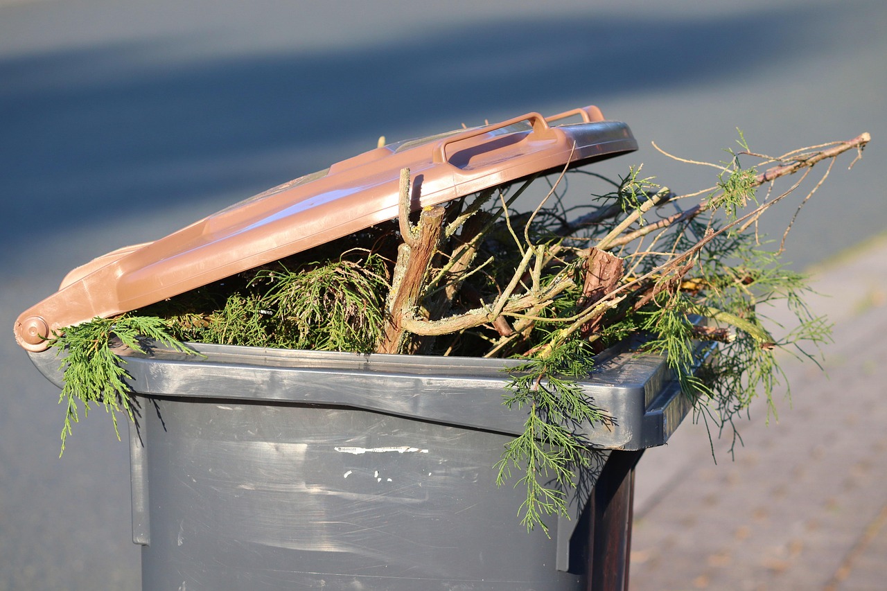 Tips for Tackling Food Waste