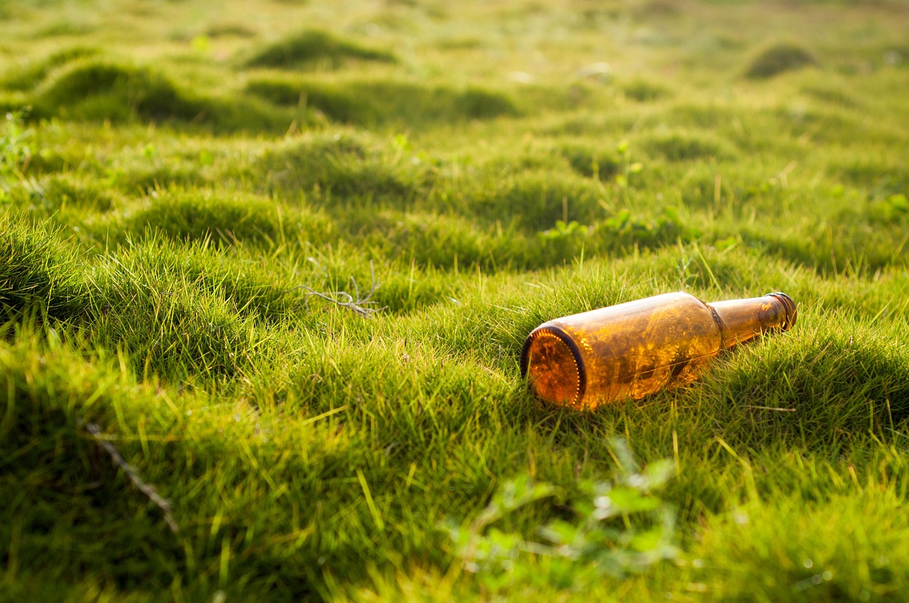 An Introduction to Environmental Impact Assessments