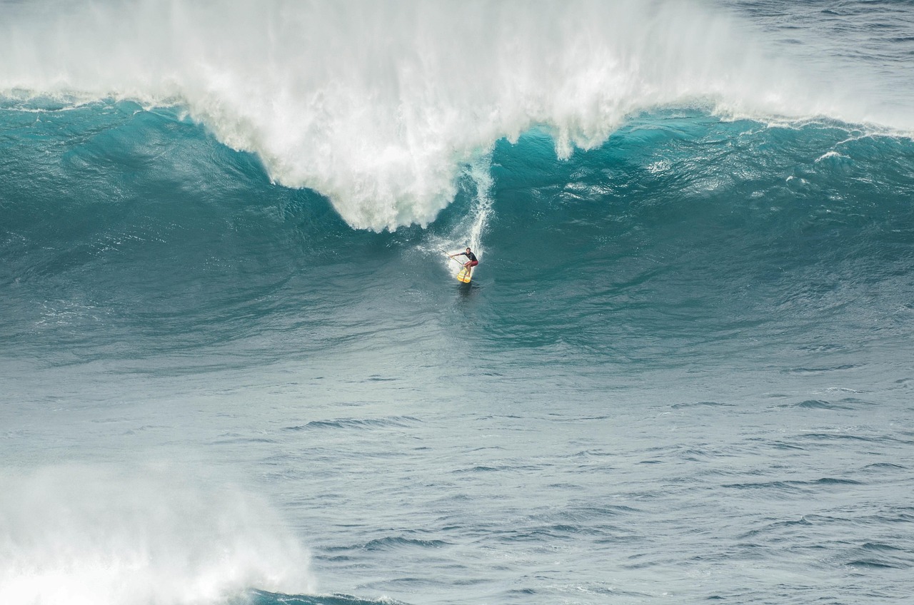 Exploring the World of Extreme Sports