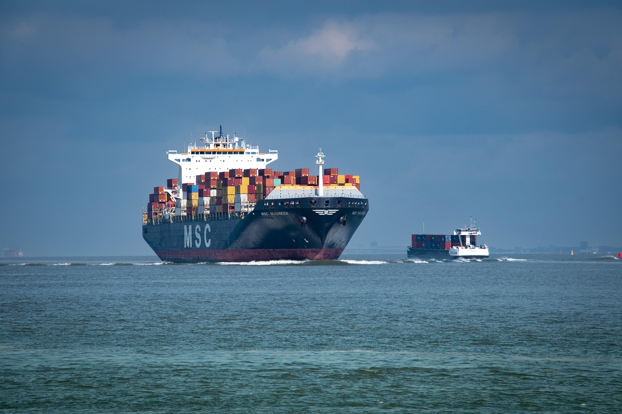 Navigating the Challenges of E-commerce Logistics
