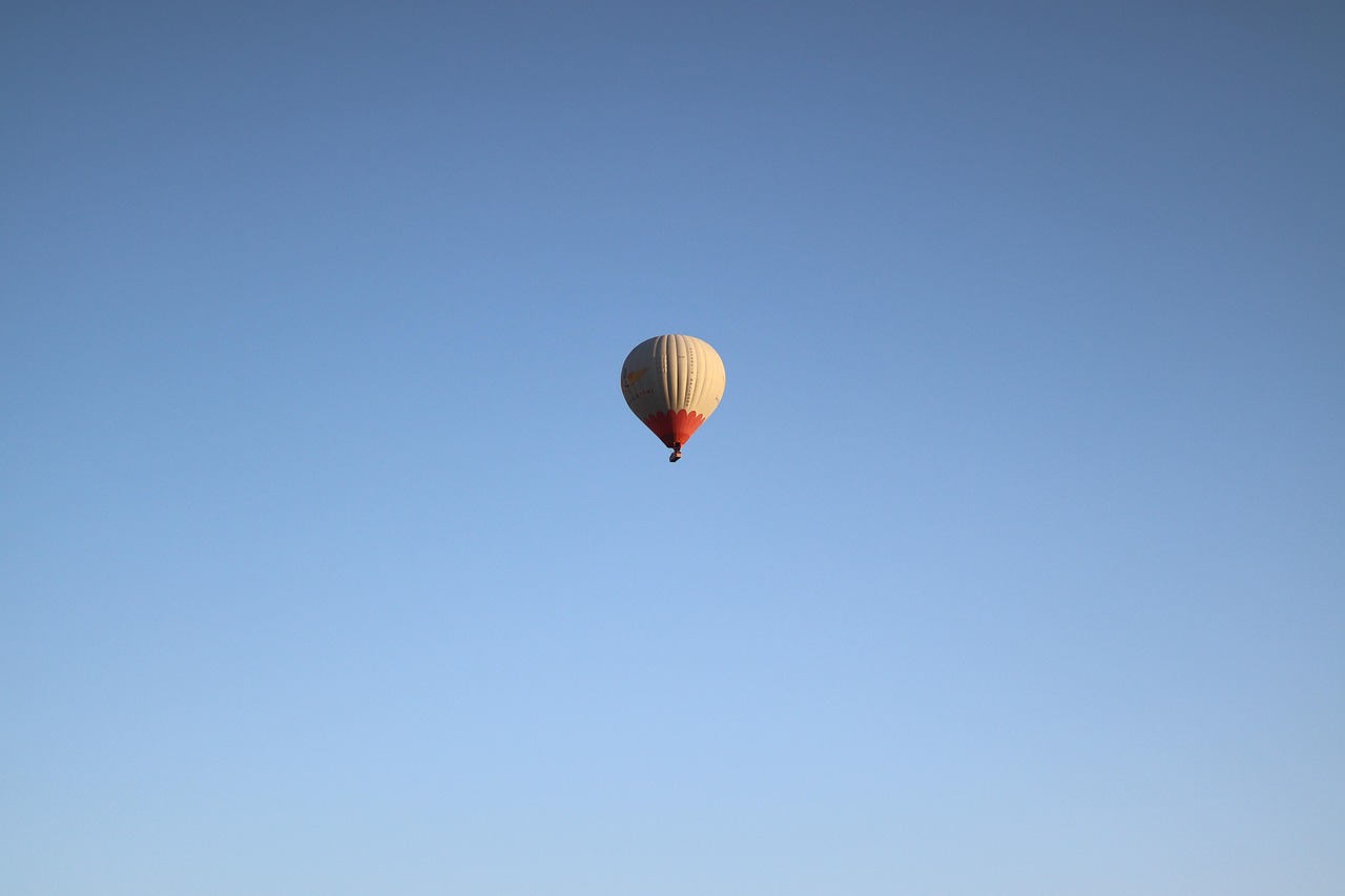Understanding the Role of User Experience in SaaS